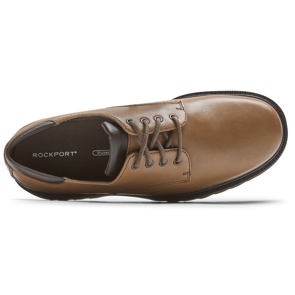 Rockport Oxfords For Mens Dark Brown - Northfield Waterproof - JS1946207